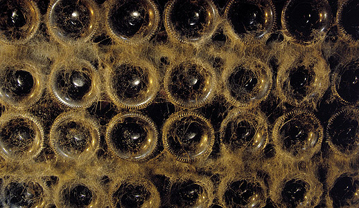 Crianza en botella